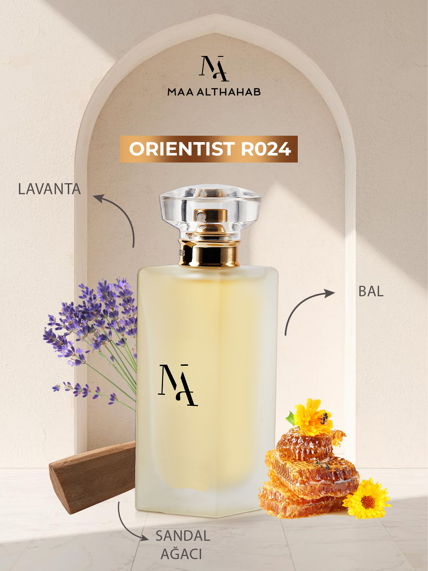 Orientist R024