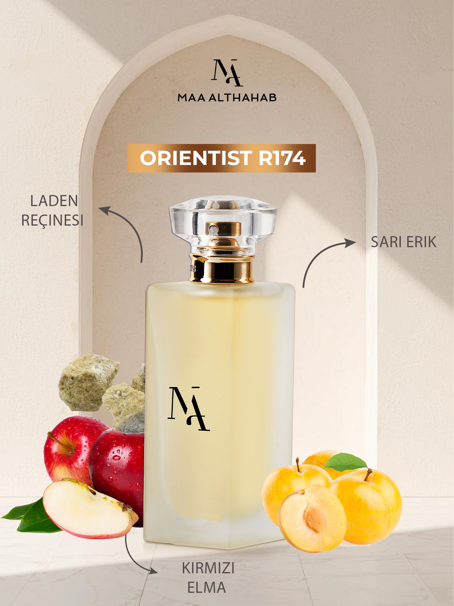 Orientist R174