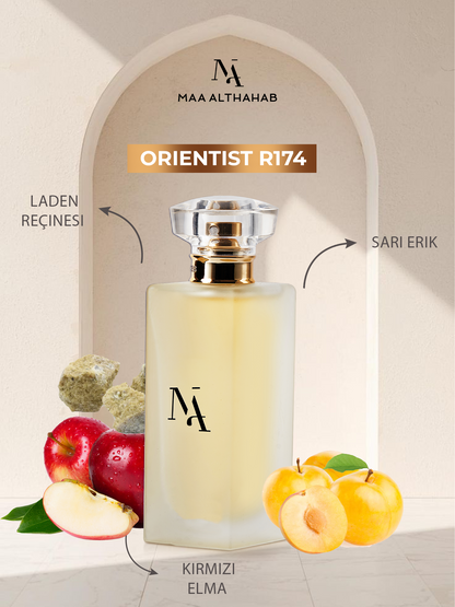 Orientist R174